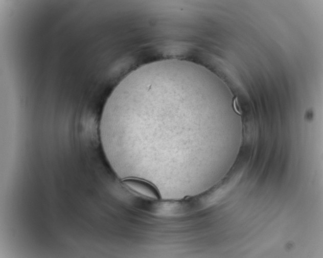 X0000102390575200808151923