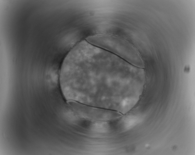 X0000102390576200808151923