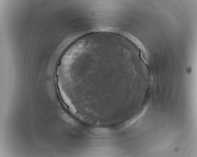 X0000102390577200808151923