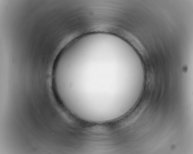 X0000102390578200808151923