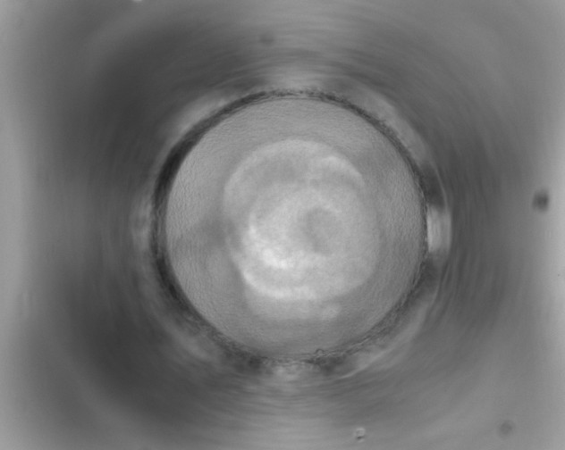 X0000102390579200808151923