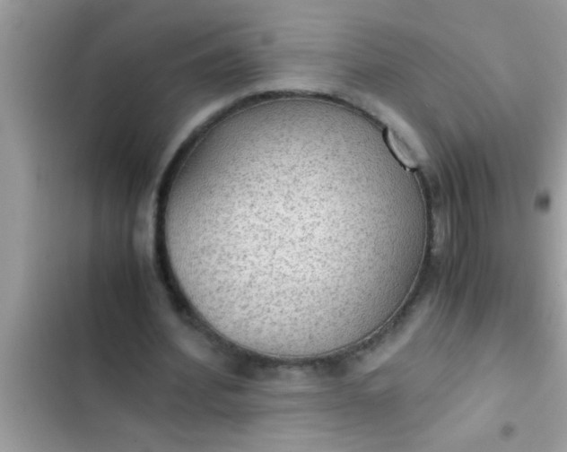 X0000102390580200808151923