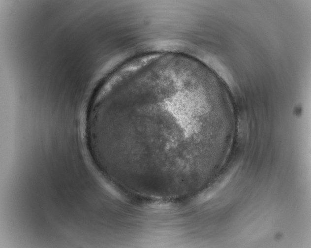 X0000102390581200808151923