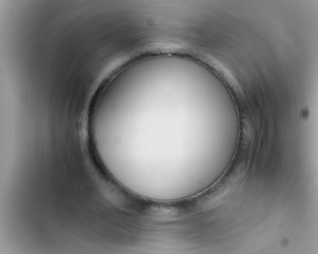 X0000102390582200808151923