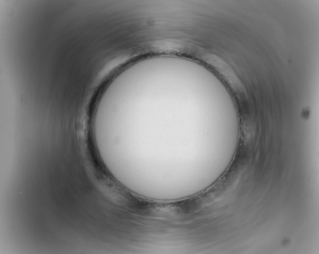 X0000102390583200808151923