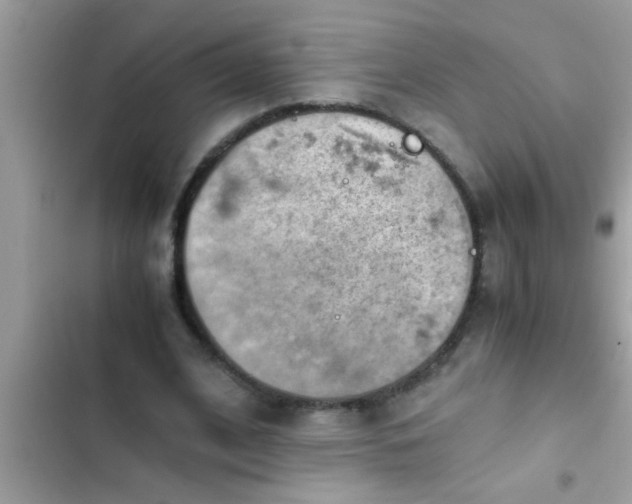 X0000102390584200808151923