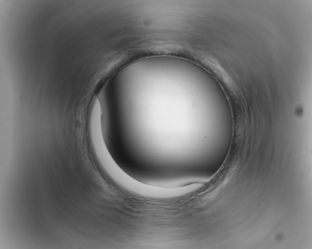 X0000102390585200808151923