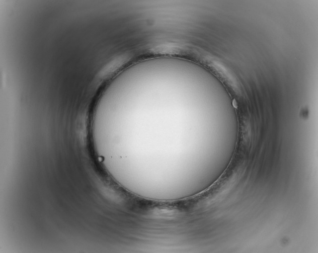 X0000102390586200808151923