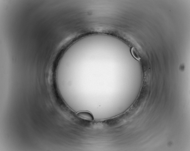 X0000102390587200808151923