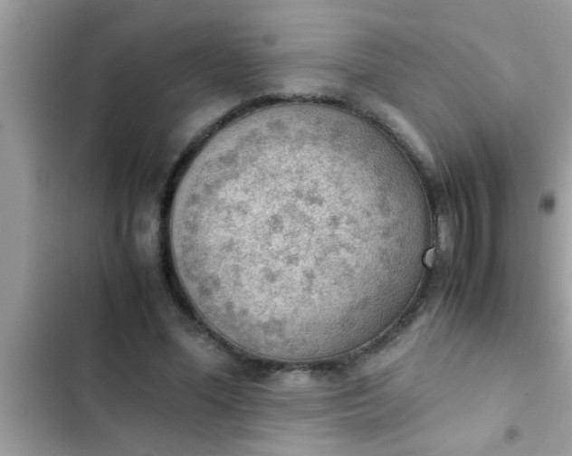 X0000102390588200808151923