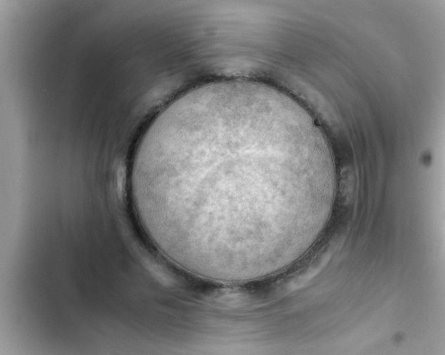 X0000102390589200808151923