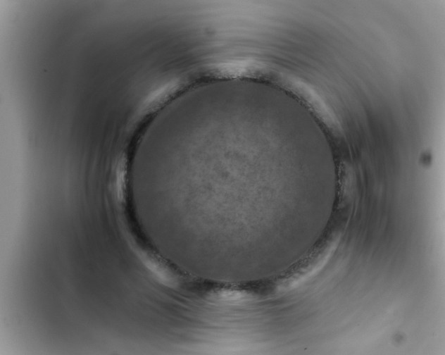 X0000102390590200808151922