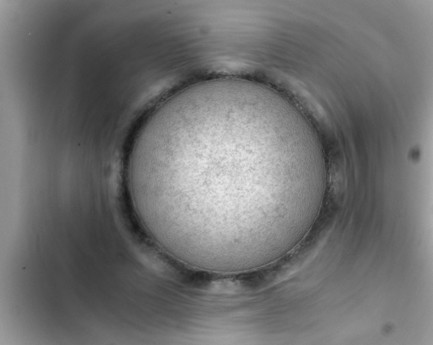 X0000102390591200808151922