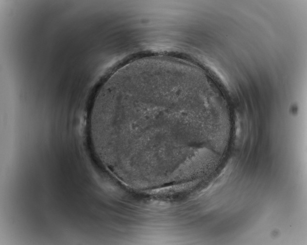 X0000102390592200808151922