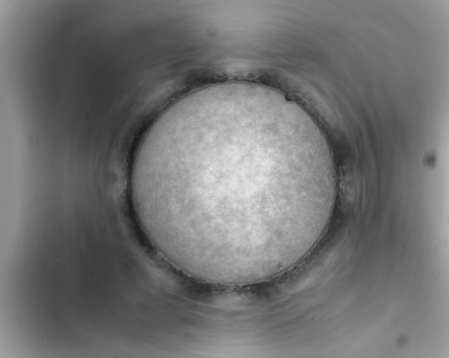 X0000102390593200808151922