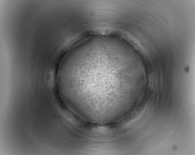 X0000102390594200808151922