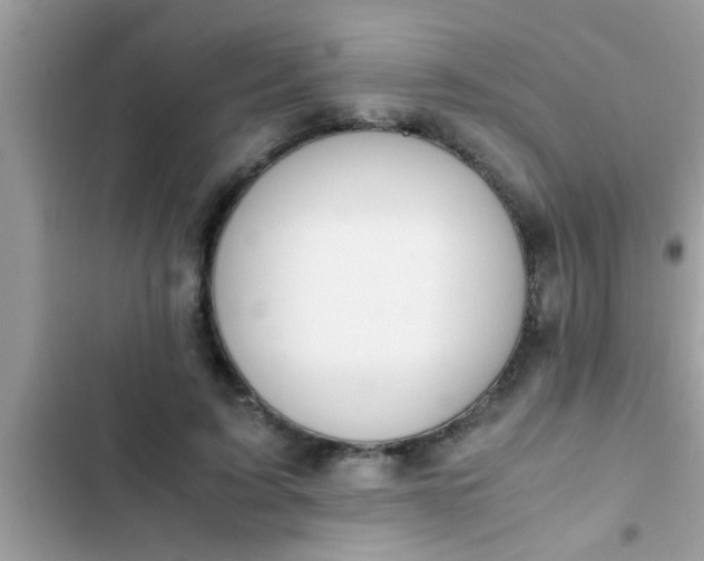 X0000102390595200808151922