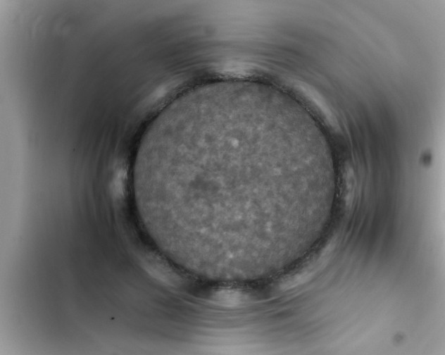 X0000102390596200808151922