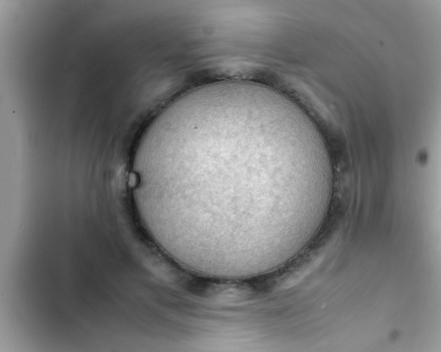 X0000102390597200808151922