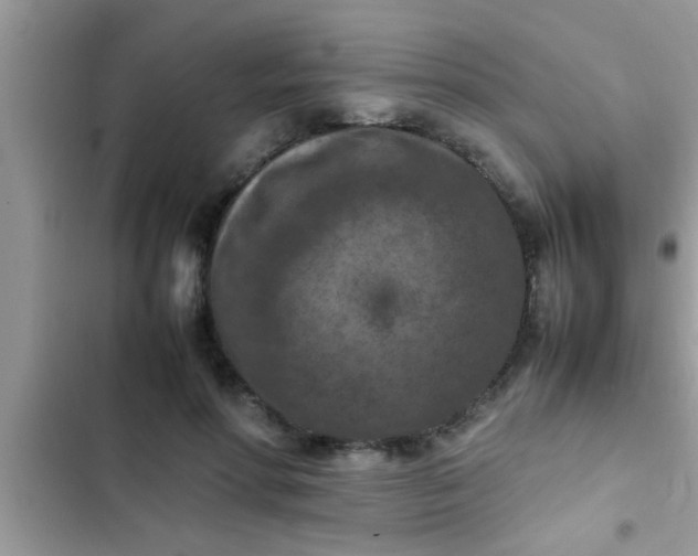 X0000102390598200808151922