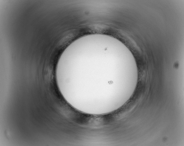 X0000102390599200808151922