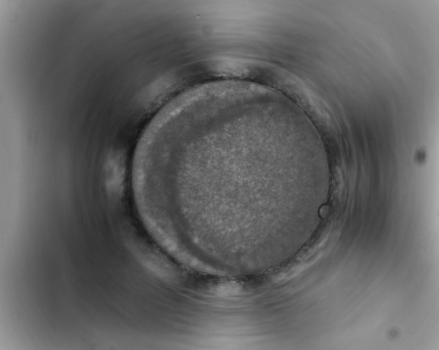 X0000102390600200808151922