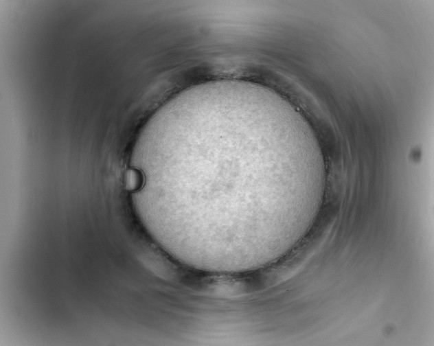 X0000102390601200808151922