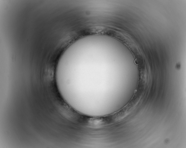 X0000102390602200808151922