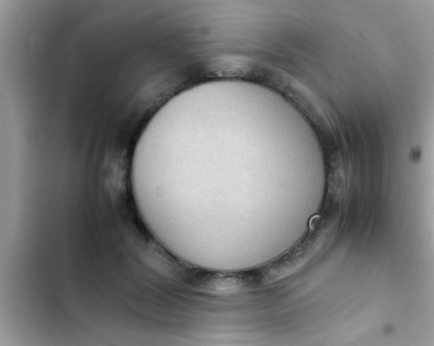 X0000102390604200808151922