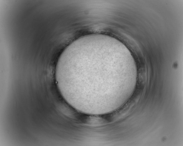 X0000102390605200808151922