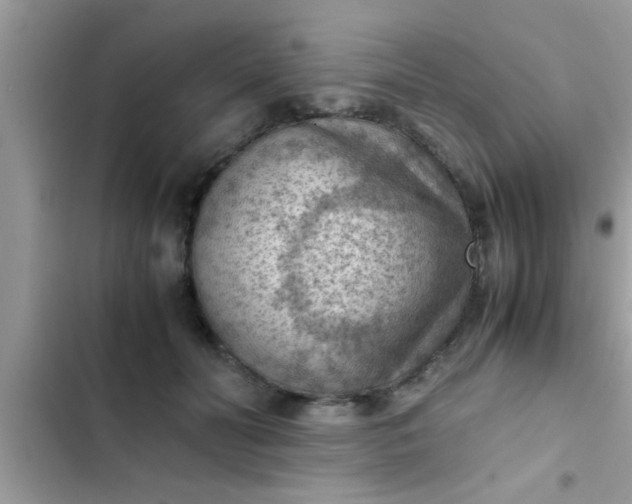 X0000102390606200808151922