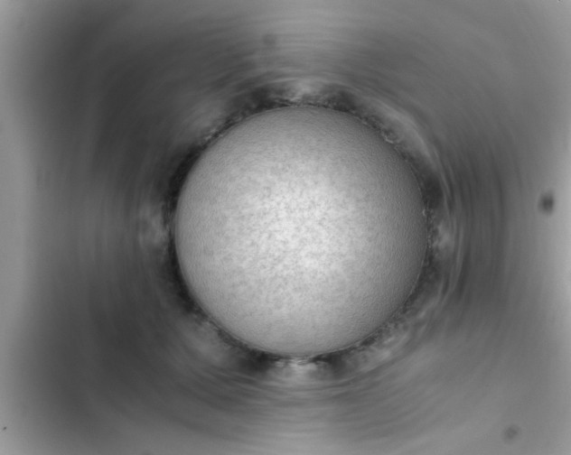 X0000102390607200808151922