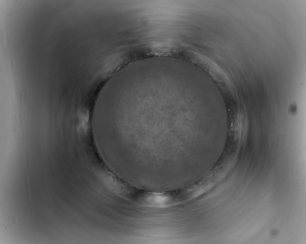 X0000102390610200808151922