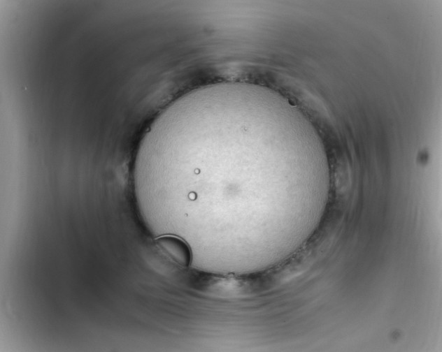 X0000102390611200808151922