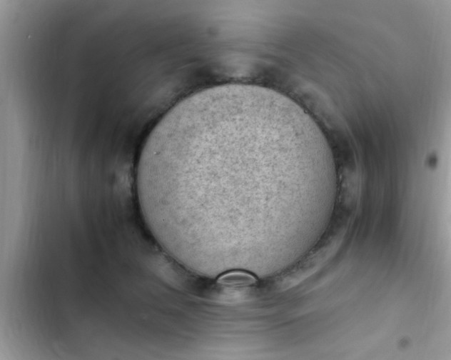 X0000102390612200808151922