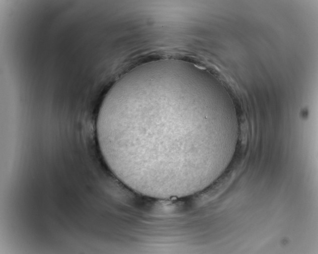 X0000102390613200808151922