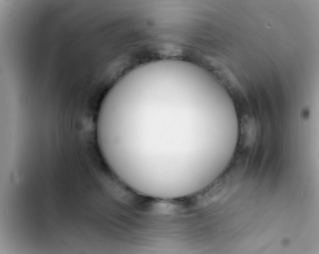 X0000102390614200808151922