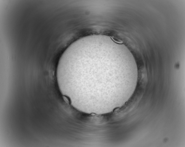 X0000102390615200808151922