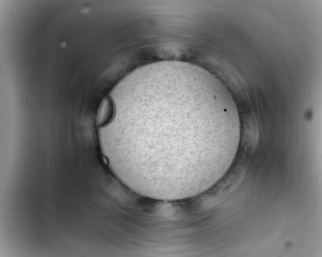 X0000102390616200808151922