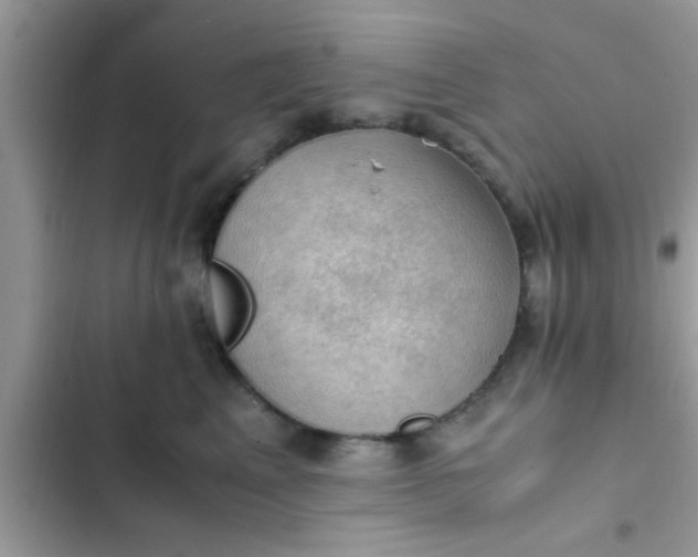 X0000102390617200808151922