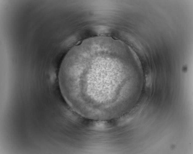 X0000102390618200808151922