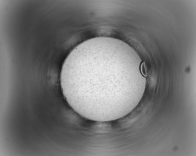 X0000102390619200808151922