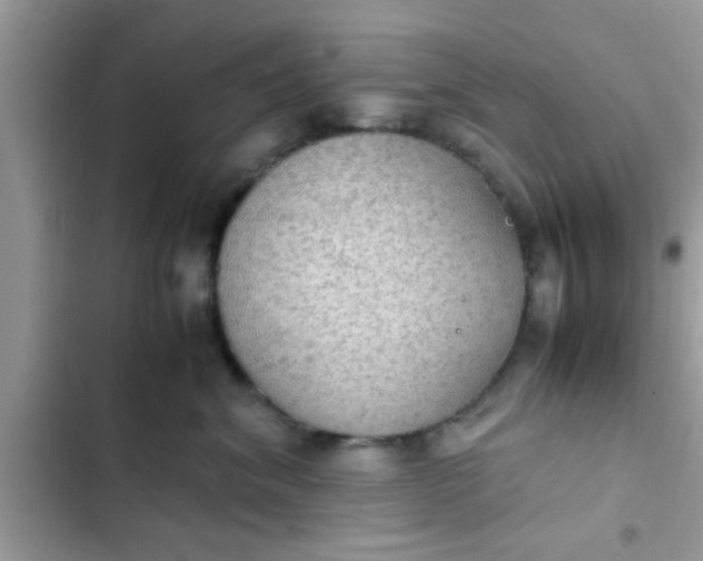 X0000102390620200808151922