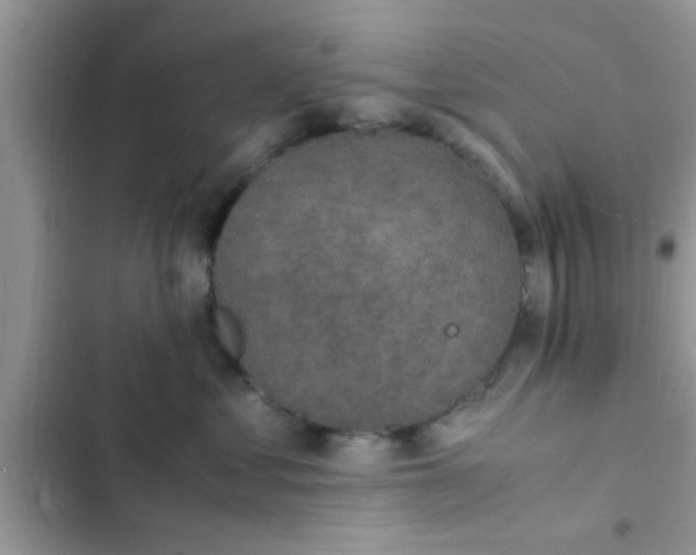 X0000102390621200808151922