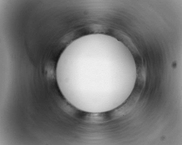 X0000102390622200808151922