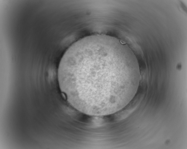 X0000102390623200808151922