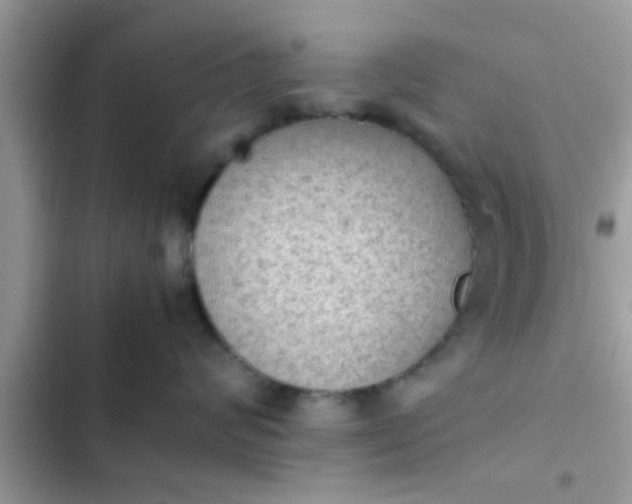 X0000102390624200808151922