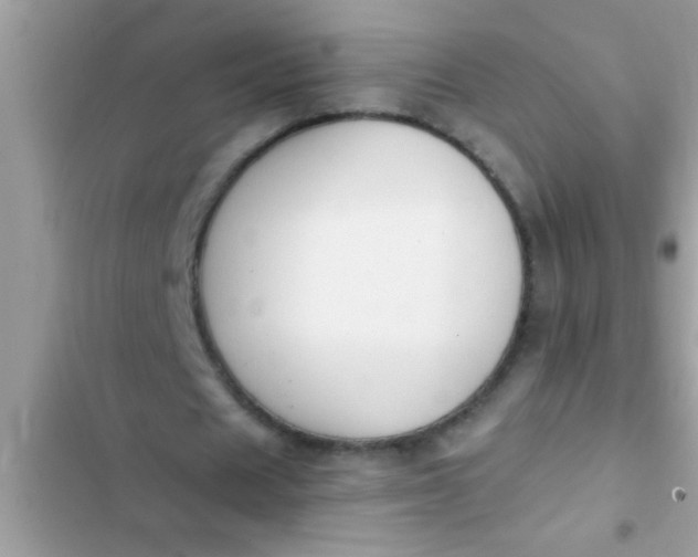 X0000102390625200808151921