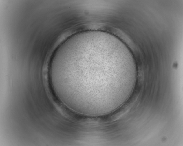 X0000102390626200808151921