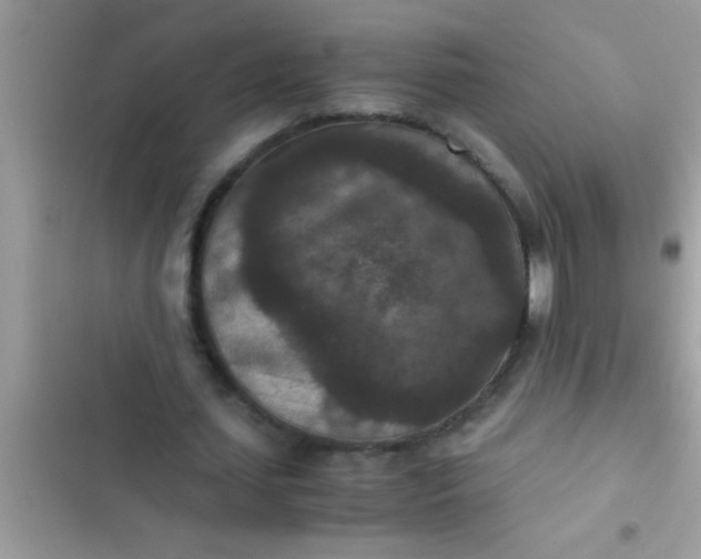 X0000102390627200808151921